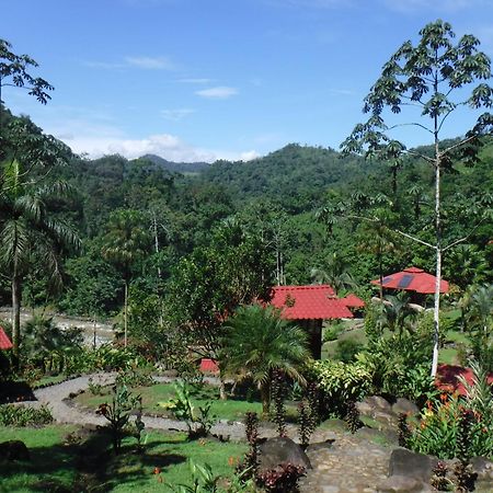 Pacuare River Lodge Bajo Tigre Dış mekan fotoğraf
