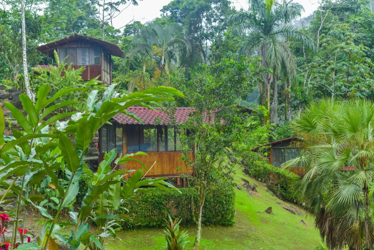 Pacuare River Lodge Bajo Tigre Dış mekan fotoğraf