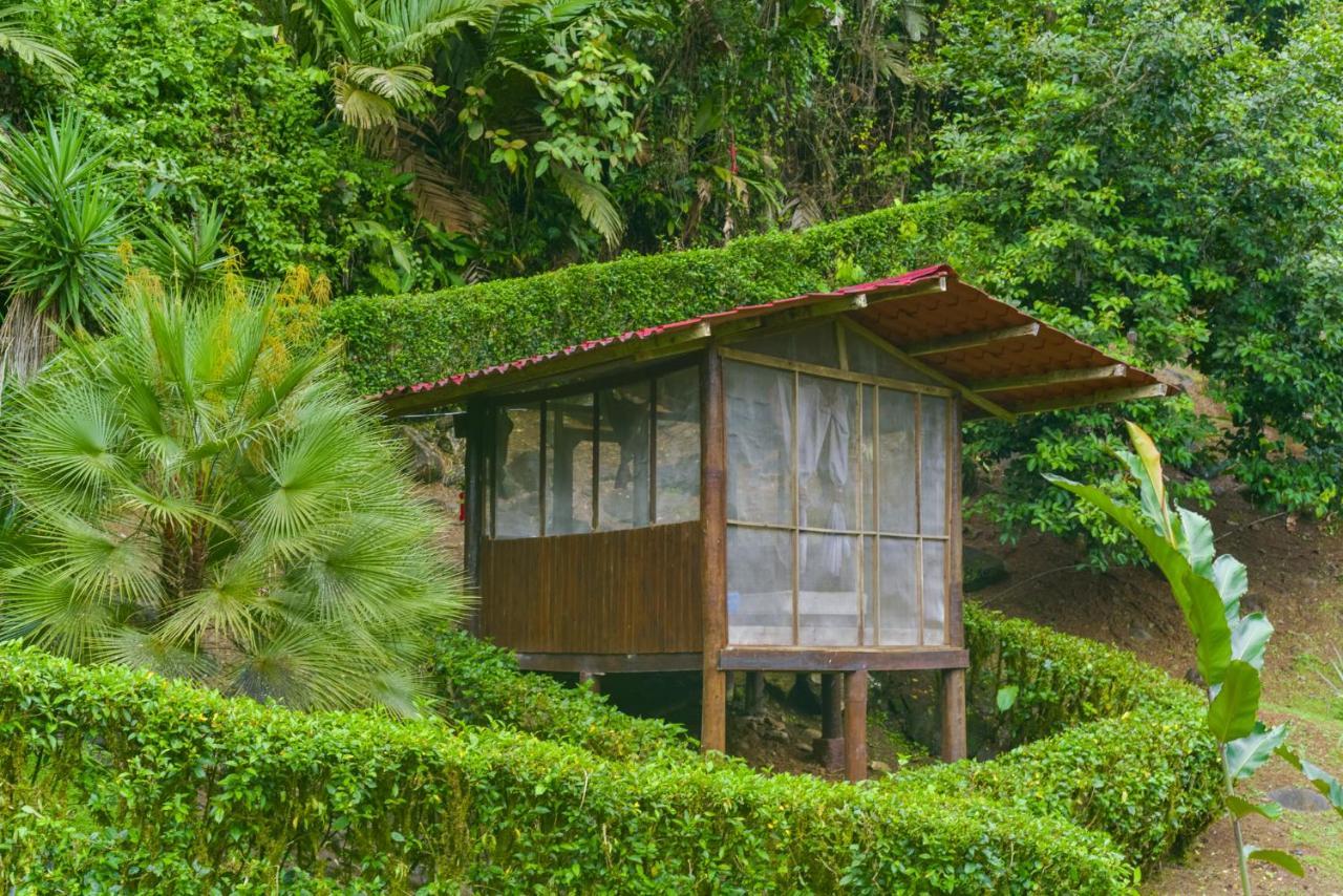 Pacuare River Lodge Bajo Tigre Dış mekan fotoğraf