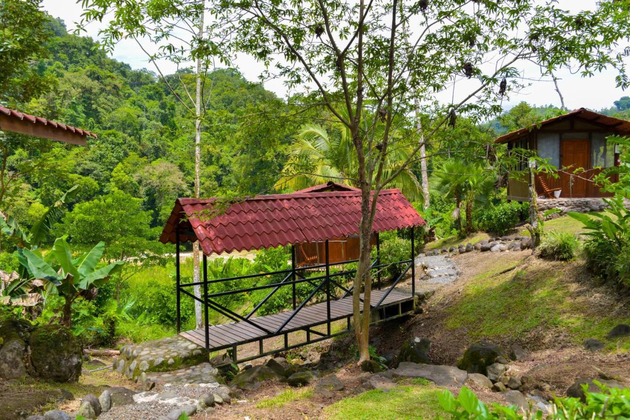 Pacuare River Lodge Bajo Tigre Dış mekan fotoğraf