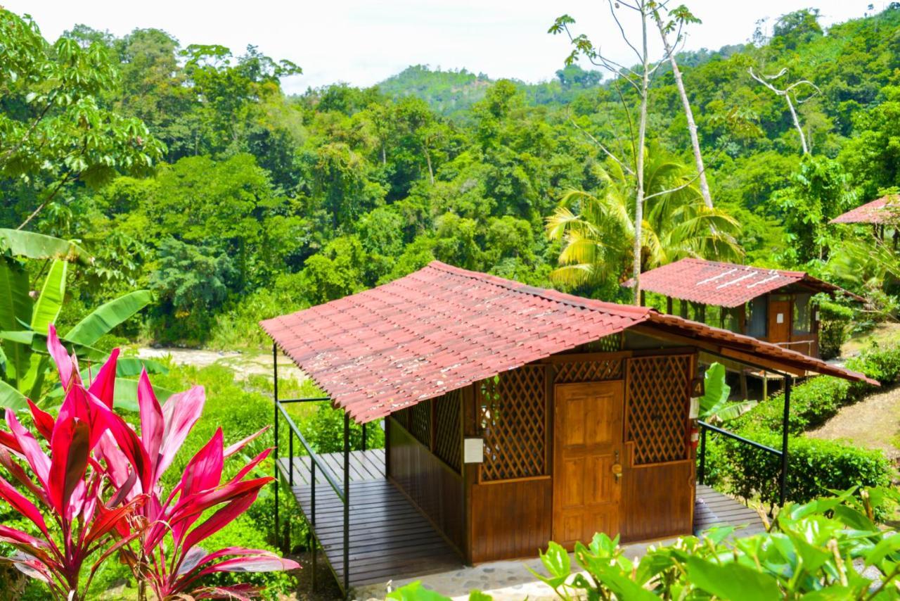 Pacuare River Lodge Bajo Tigre Dış mekan fotoğraf