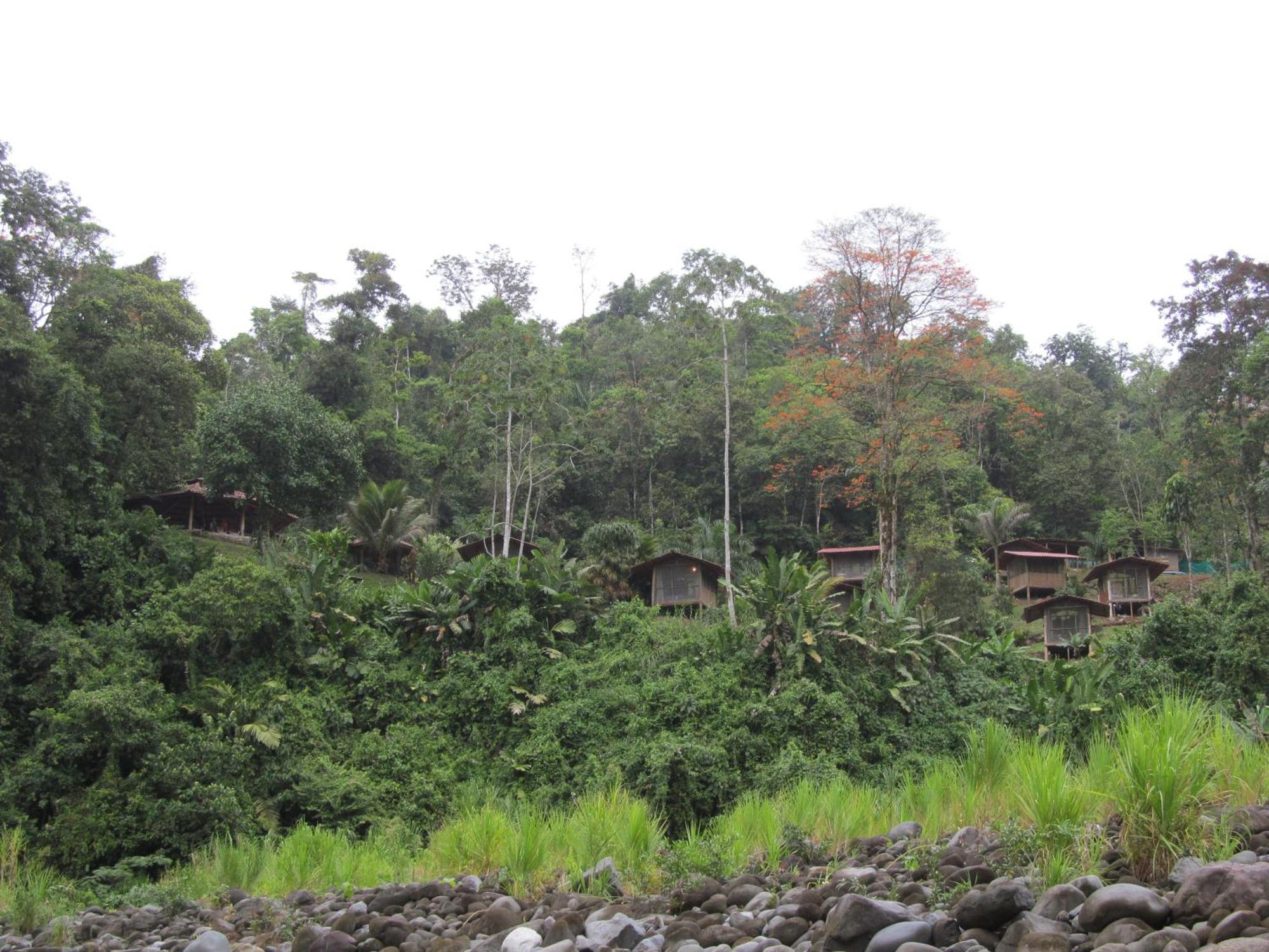 Pacuare River Lodge Bajo Tigre Dış mekan fotoğraf