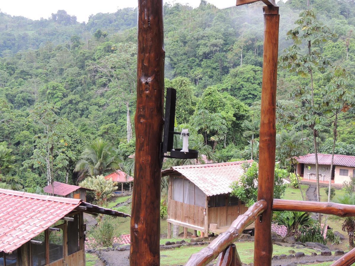 Pacuare River Lodge Bajo Tigre Dış mekan fotoğraf