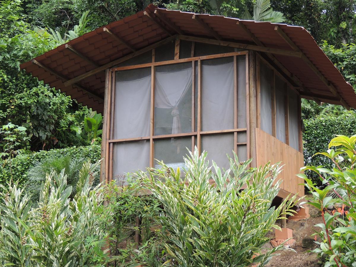 Pacuare River Lodge Bajo Tigre Dış mekan fotoğraf