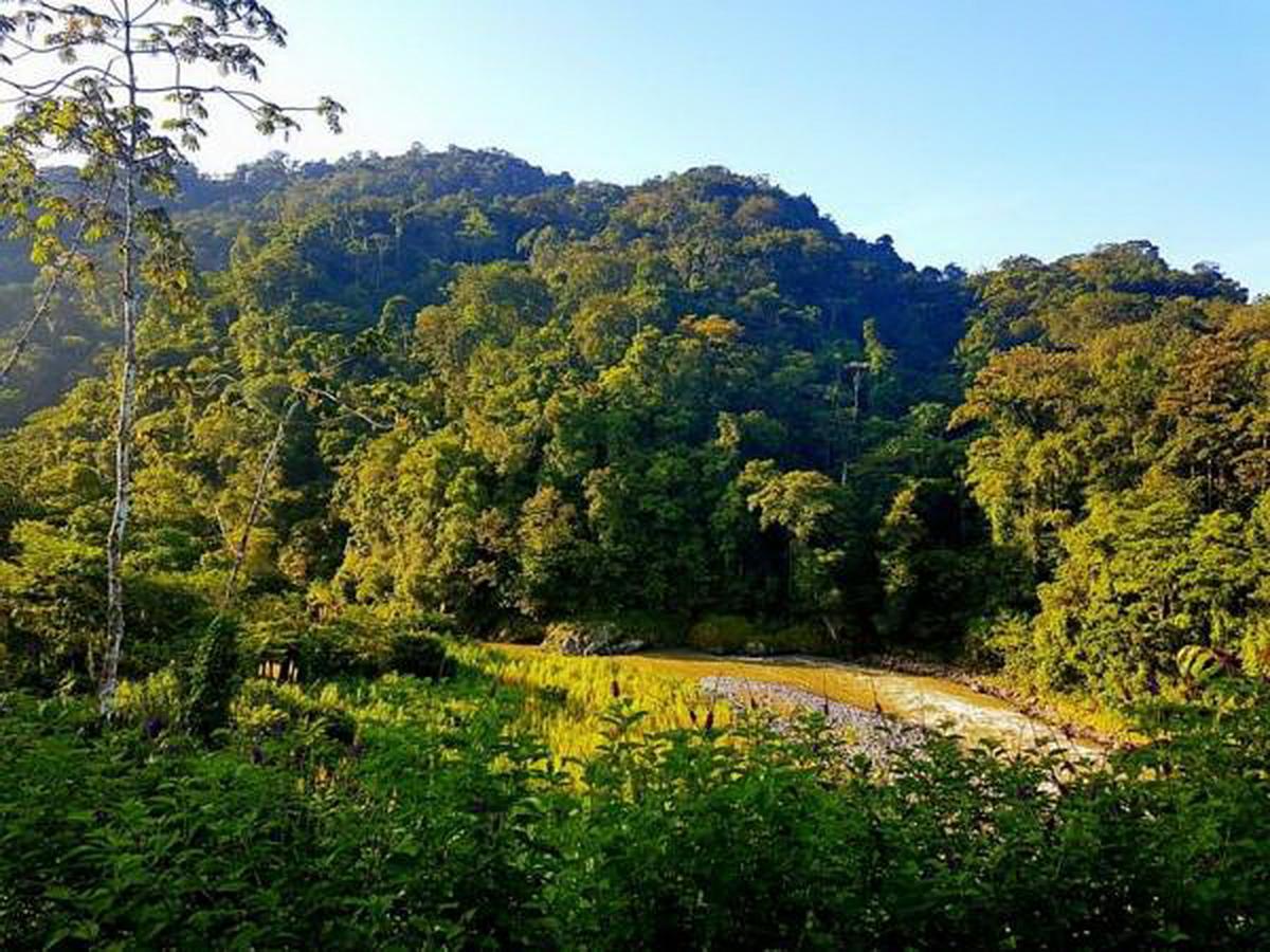 Pacuare River Lodge Bajo Tigre Dış mekan fotoğraf
