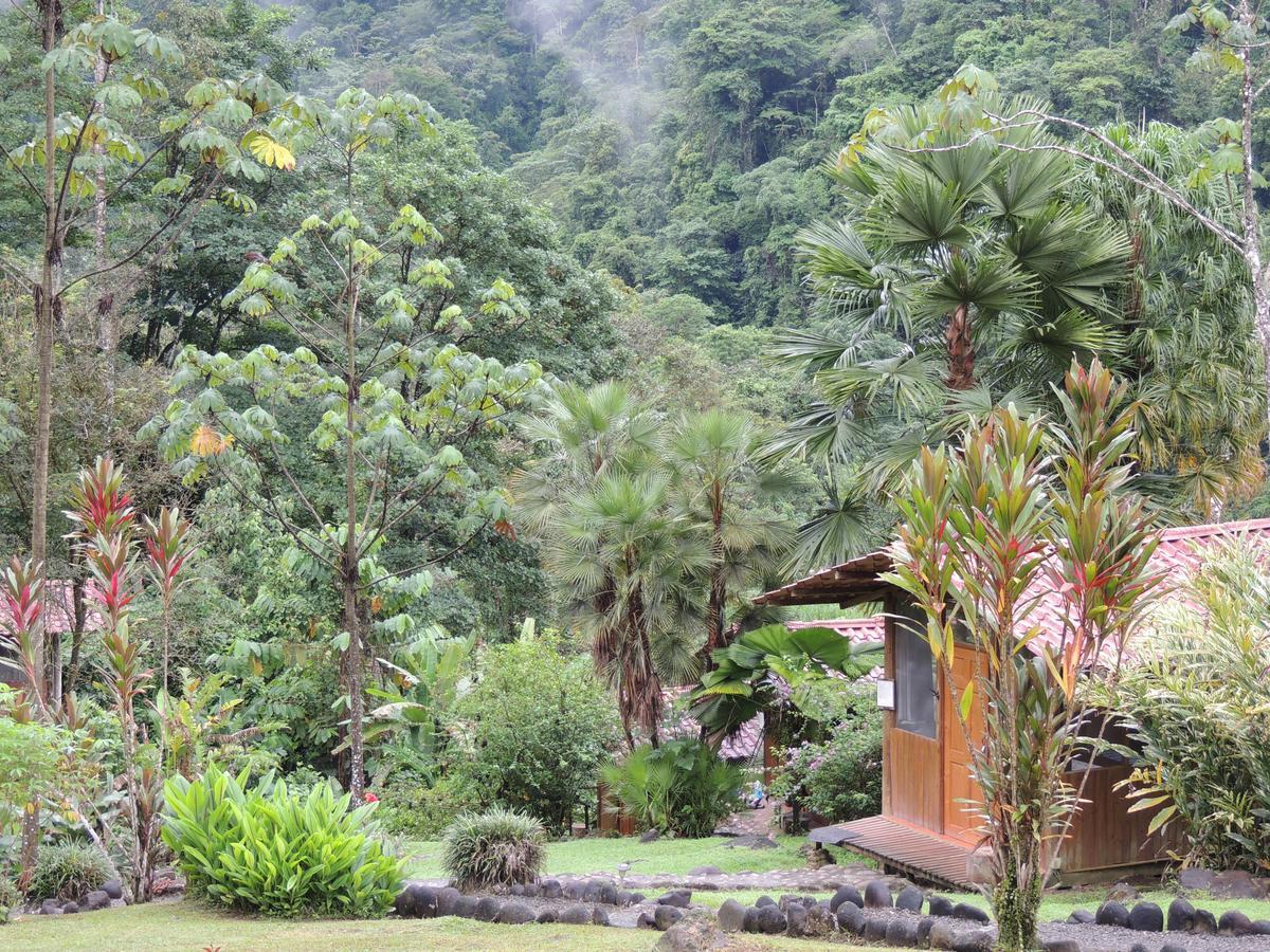 Pacuare River Lodge Bajo Tigre Dış mekan fotoğraf