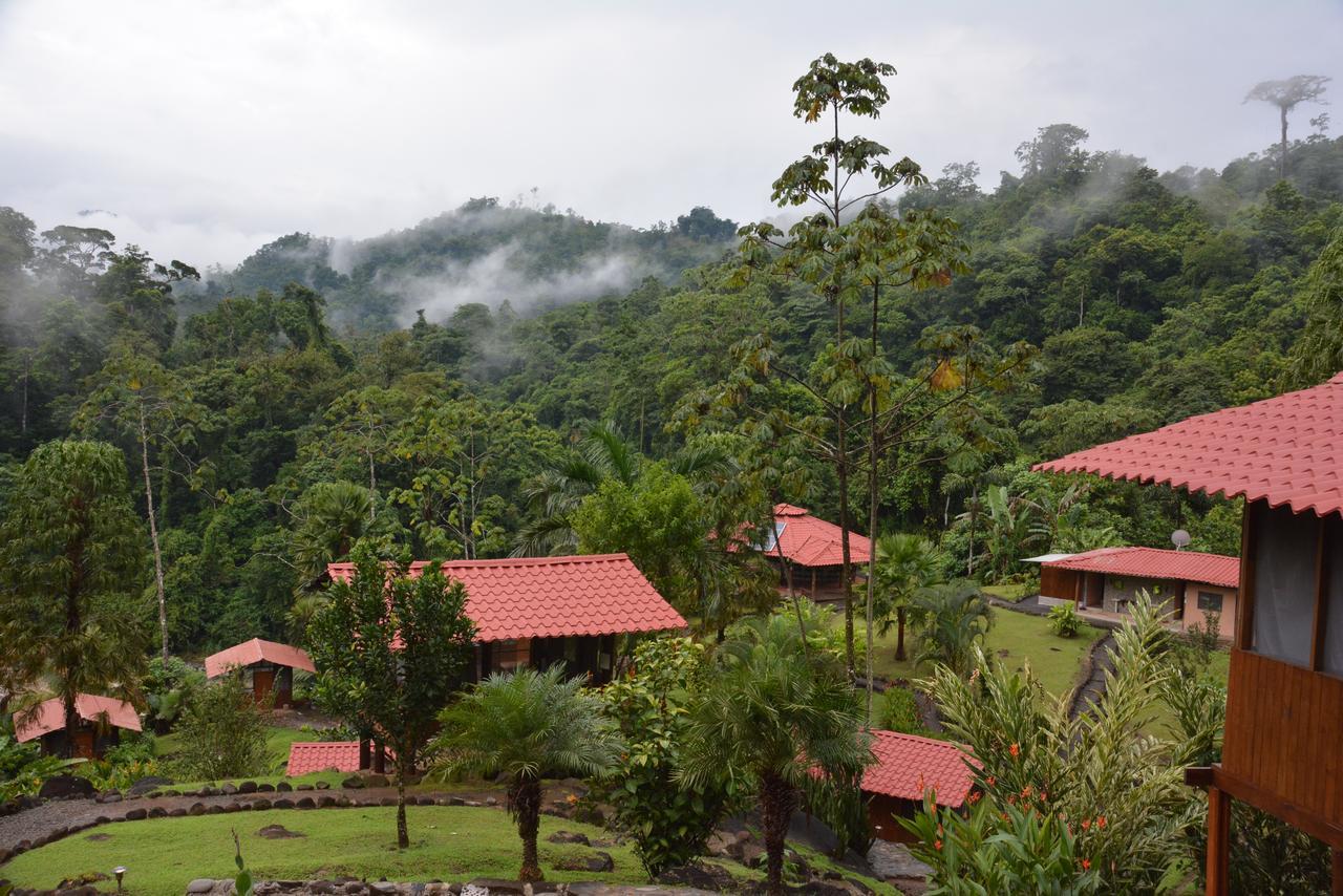 Pacuare River Lodge Bajo Tigre Dış mekan fotoğraf