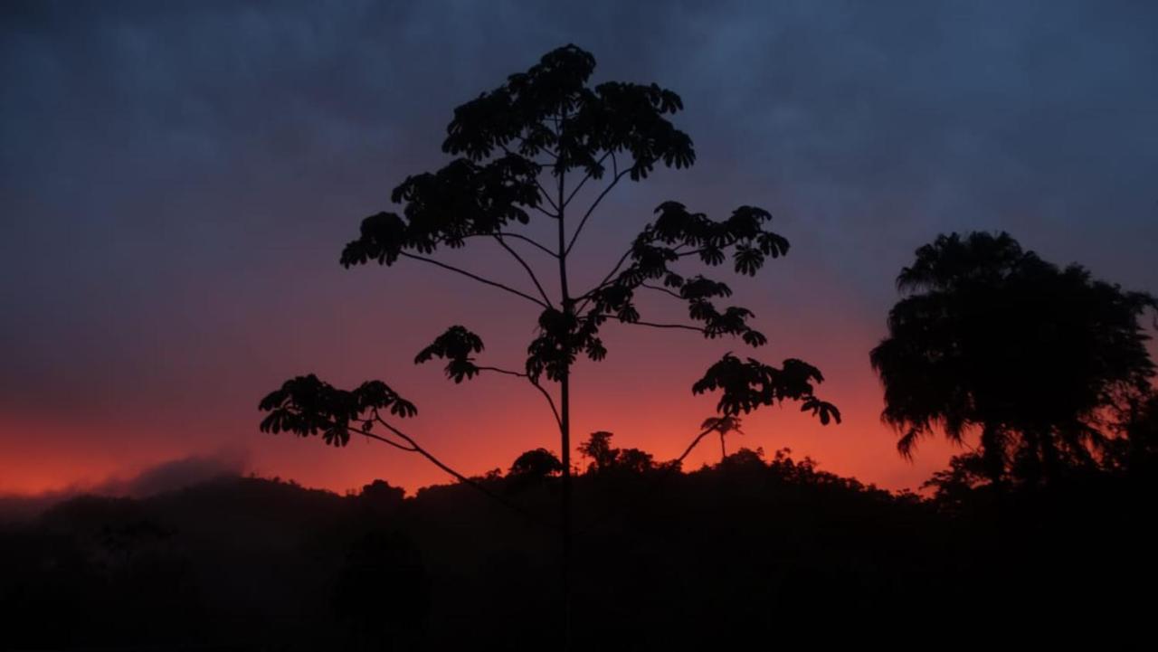 Pacuare River Lodge Bajo Tigre Dış mekan fotoğraf