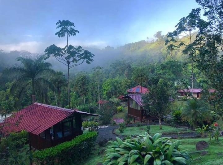 Pacuare River Lodge Bajo Tigre Dış mekan fotoğraf