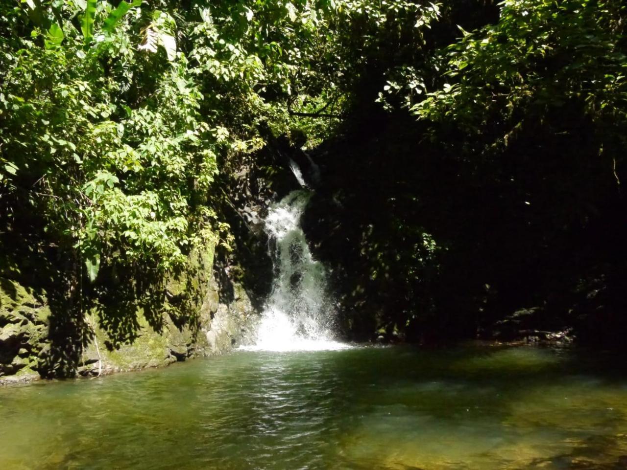 Pacuare River Lodge Bajo Tigre Dış mekan fotoğraf